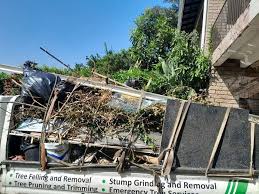 Best Attic Cleanout  in Lucerne, CA